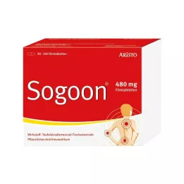 SOGOON Comprimés pelliculés à 480 mg, 100 pièces