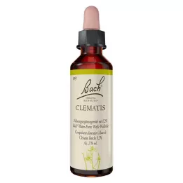 BACHBLÜTEN Gouttes de clématite, 20 ml