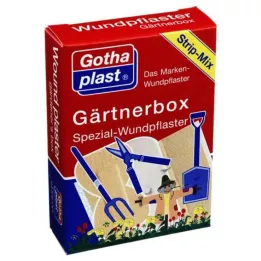 GOTHAPLAST Plâtre pour boîte de jardinier, 1 pièce