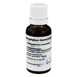 CAULOPHYLLUM D 6 Dilution, 20 ml