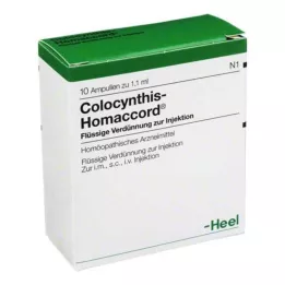 COLOCYNTHIS HOMACCORD Ampoules, 10 pc