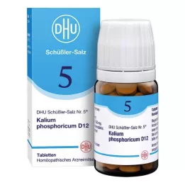 BIOCHEMIE DHU 5 comprimés de Kalium phosphoricum D 12, 80 pcs