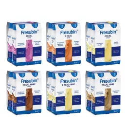 FRESUBIN 2 kcal DRINK Bouteille à boire en boîte mixte, 24X200 ml