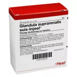 GLANDULA SUPRARENALIS Suis Injeel Ampoules, 10 pc