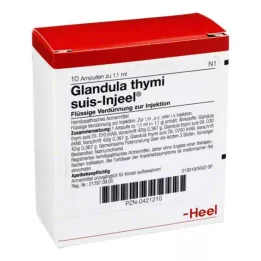 GLANDULA THYMI Suis Injeel Ampoules, 10 pc