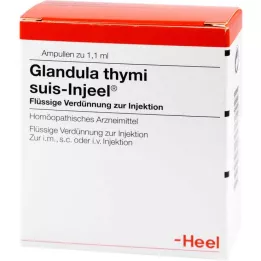 GLANDULA THYMI Suis Injeel Ampoules, 100 pc