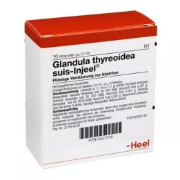 GLANDULA THYREOIDEA Suis Injeel Ampoules, 10 pc