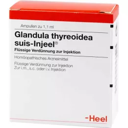 GLANDULA THYREOIDEA Suis Injeel Ampoules, 100 pc