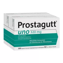 PROSTAGUTT capsules uno, 2X100 pièces
