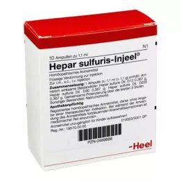 HEPAR SULFURIS INJEEL Ampoules, 10 pc