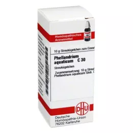 PHELLANDRIUM AQUATICUM Globules C 30, 10 g