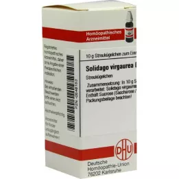 SOLIDAGO VIRGAUREA Globules D 8, 10 g