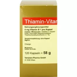 THIAMIN Capsules Vitamine B1, 120 pc