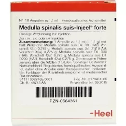MEDULLA SPINALIS Suis Injeel Forte ampoules, 10 pc
