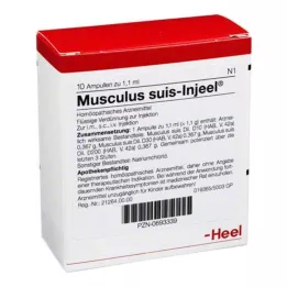 MUSCULUS SUIS injeel ampoules, 10 pc