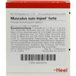 MUSCULUS SUIS Ampoules Forte injeel, 10 pc