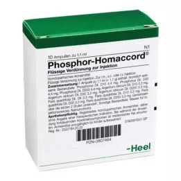 PHOSPHOR HOMACCORD Ampoules, 10 pc