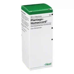 PLANTAGO HOMACCORD Gouttes, 30 ml