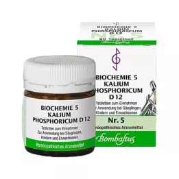 BIOCHEMIE 5 comprimés de Kalium phosphoricum D 12, 80 pcs