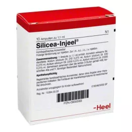 SILICEA INJEEL Ampoules, 10 pc