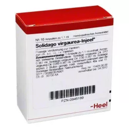 SOLIDAGO VIRGAUREA INJEEL Ampoules, 10 pc