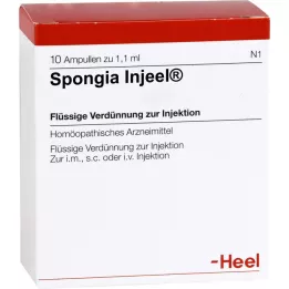 Spongia Inj, 10 pc