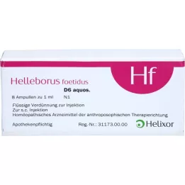 HELLEBORUS FOETIDUS aquos. D 6 ampoules, 8X1 ml