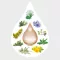 AMARA Dilution en gouttes, 50 ml