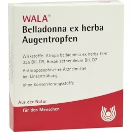 BELLADONNA EX HERBA gouttes pour les yeux, 5x0,5 ml