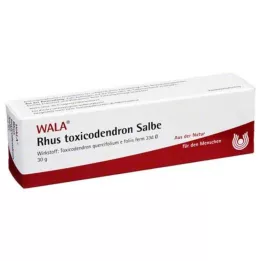 RHUS TOXICODENDRON POMMADE, 30 g