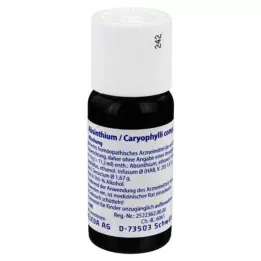 ABSINTHIUM/CARYOPHYLLI mélange comp., 50 ml