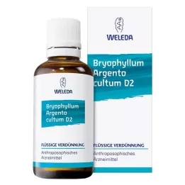 BRYOPHYLLUM ARGENTO Dilution de cultum D 2, 50 ml