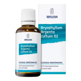 BRYOPHYLLUM ARGENTO Dilution de la culture D 3, 50 ml