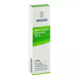 MERCURIALIS PERENNIS Pommade à 10 %, 25 g