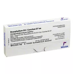 BRYOPHYLLUM d 5 / conchae d 7 ampoules, 8x1 ml