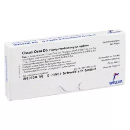 CISSUS-OSSA D 6 ampoules, 8X1 ml