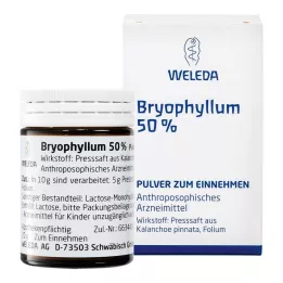 BRYOPHYLLUM Poudre à 50 % pour usage oral, 50 g