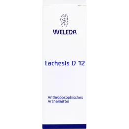 Lachèse D 12 Dilution, 50 ml