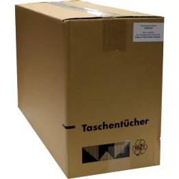 TASCHENTÜCHER Vitamines à motifs, 1 pc