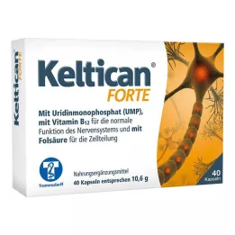 KELTICAN forte gélules, 40 pcs