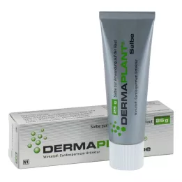 DERMAPLANT Pommade, 25 g