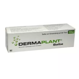 DERMAPLANT Pommade, 75 g