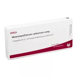 MESENCHYM/CALCIUM ampoules de comp. carbonicum, 10X1 ml