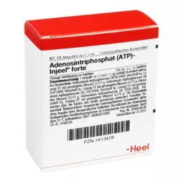 ATP Ampoules Forte injeel, 10 pc
