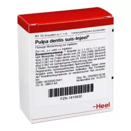 PULPA DENTIS SUIS injeel ampoules, 10 pc