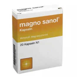 MAGNO SANOL Capsules, 20 heures