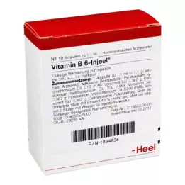 VITAMIN B6 INJEEL ampoules, 10 pièces