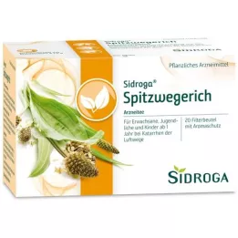 SIDROGA Sac de filtre à thé Spitzwegerich, 20x1,4 g