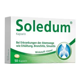 SOLEDUM Gélules gastro-résistantes à 100 mg, 50 pièces