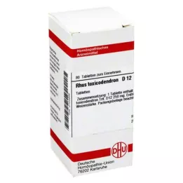 RHUS TOXICODENDRON D 12 comprimés, 80 pcs